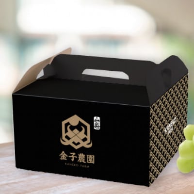 【見つけたらラッキー】この時期しか食べれない数に限りのある希少品種富士の輝2026年9月下旬より発送【配送不可地域：離島】【1495749】