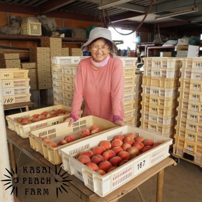 ã2026幎çºéå
è¡åä»ãå³éžææ¡ãæ¡ å±±æ¢šã®ç¬ äºæ¡åã®æ¡ çŽ5kgãé
éäžå¯å°åïŒé¢å³¶ãã1587434ã