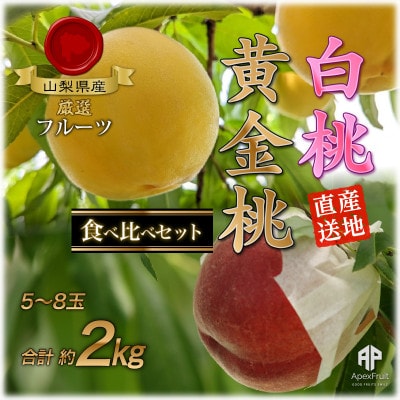 【2026年先行予約】山梨市産　白桃と黄金桃の食べ比べセット　約2kg(5〜8玉)【配送不可地域：離島】【1431881】