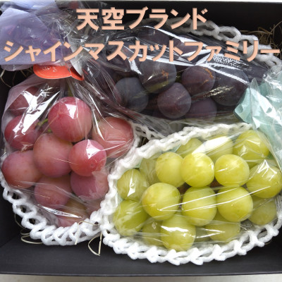 【2026年先行受付】牧丘天空ブランド　皮ごと食べられるぶどう3色詰め合わせ 約1kg(3房)【配送不可地域：離島】【1585100】