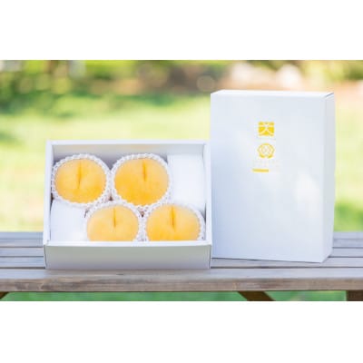 やまなし内藤農園のジュエリーピーチ(R)黄桃 1.5kg【配送不可地域：離島】【1225480】