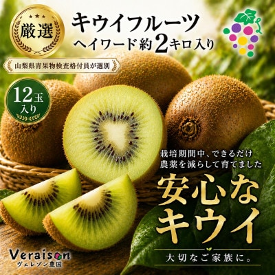 キウイフルーツ(ヘイワード)約2kg【1178154】