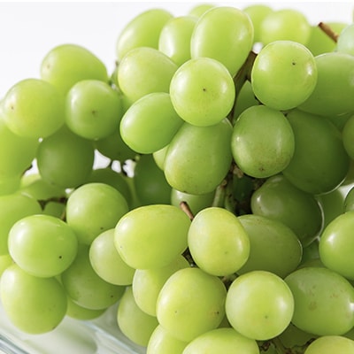 ã2026幎å
è¡åä»ããèš³ããã山梚åžç£ã·ã£ã€ã³ãã¹ã«ãã1kg以äž(2ã3æ¿)ãé
éäžå¯å°åïŒé¢å³¶ãã1427896ã