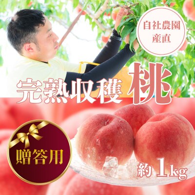 【2026年先行予約】【贈答用】完熟収穫桃 約1kg 山梨県産 自社農園産直!【配送不可地域：離島】【1580902】