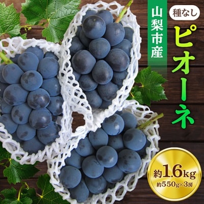 ã2026幎å
è¡åä»ãããªãŒã çŽ550gÃ3æ¿ å±±æ¢šåžç£ ãããªãŒã(çš®ãªã)ã è©°ãåãããé
éäžå¯å°åïŒé¢å³¶ã»æ²çžçãã1117301ã