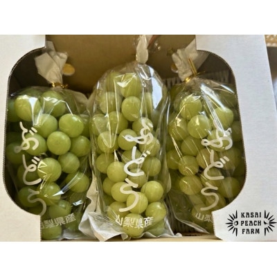 【2026年発送】訳あり シャインマスカット 2〜3房 1kg以上【配送不可地域：離島】【1732300】