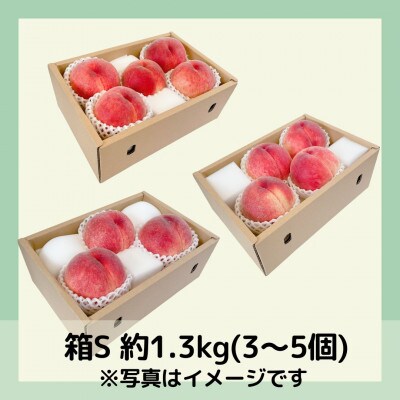【2026年先行予約】山梨・萩原フルーツ農園の白桃　S (約1.3kg/3〜5個)【配送不可地域：離島】【1477609】