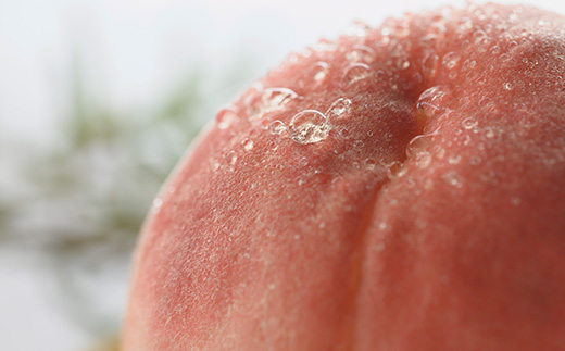 桃 約2kg 化粧箱入 もも農家ヤマシタ 桃の産地 山梨から直送【配送不可地域：離島】【1017341】