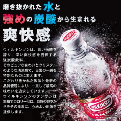 【2週間毎定期便】【月2回:6か月】ウィルキンソン タンサン 500ml【24本】1箱ずつ全12回【4013657】
