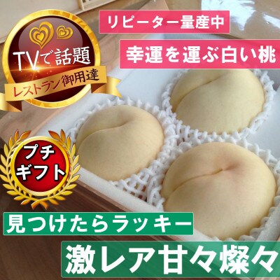 【激レア縁起深い白い桃の甘々燦々】人気品種指定ギフト5年連続TV出演話題ブランド2026年8月下旬〜【配送不可地域：離島・北海道・沖縄県・中国・四国・九州】【1465336】