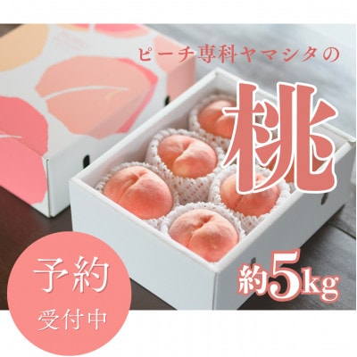 先行受付!【2026年7月発送開始】桃の産地山梨からお届け　ピーチ専科ヤマシタの桃　5kg【配送不可地域：離島】【1707820】