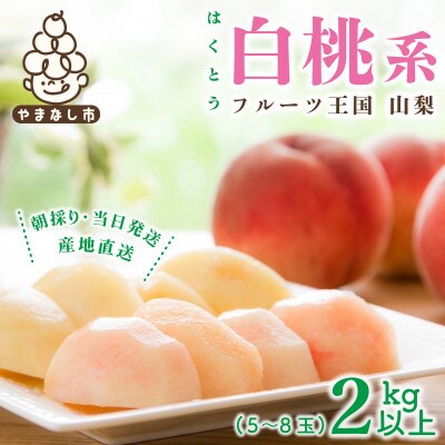 2026年先行受付　山梨県産 桃 白桃系 2kg以上(5〜8玉) フルーツ王国・山梨から産地直送【配送不可地域：離島・沖縄県】【1137262】