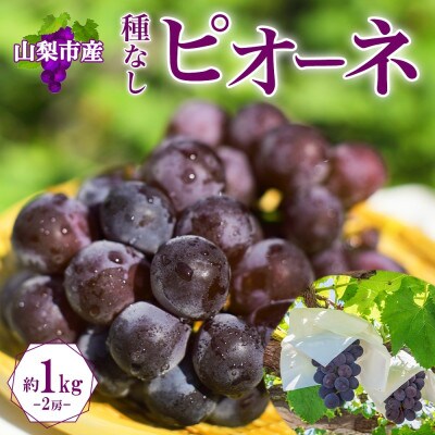 〈2026年先行予約〉甘みと酸味のバランスが絶妙!「山梨県山梨市産 大房 ピオーネ 2房 約1kg」【配送不可地域：離島・沖縄県】【1513021】