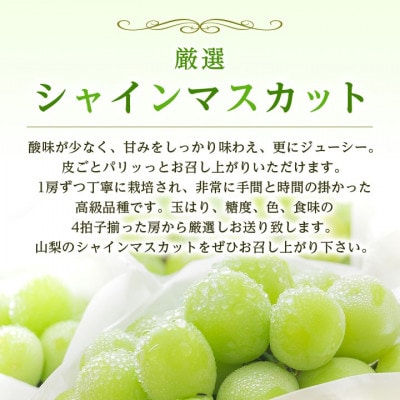 2026年発送 山梨県産 シャインマスカット 約1kg(2〜3房) 山梨が誇る人気果物 熟練農家厳選【配送不可地域：離島・沖縄県】【1272524】