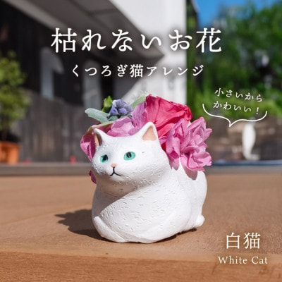 くつろぎ猫(白猫)プリザーブドフラワー 〜ネコ好きの方への贈り物に〜【1716000】
