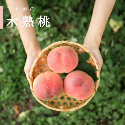 「2026年先行受付」三十屋こだわり桃【3個入 1kg以上】【配送不可地域：離島・沖縄県】【1456109】
