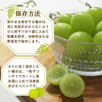 縲2026逋コ騾√大宍驕ク縲豎逕ー髱呈棡縺ョ繧キ繝」繧、繝ウ繝槭せ繧ォ繝繝2謌ソ縲1kg 縺オ繧九&縺ィ邏咲ィ弱宣埼∽ク榊庄蝨ー蝓滂シ夐屬蟲カ繝サ豐也ク逵後代1370913縲