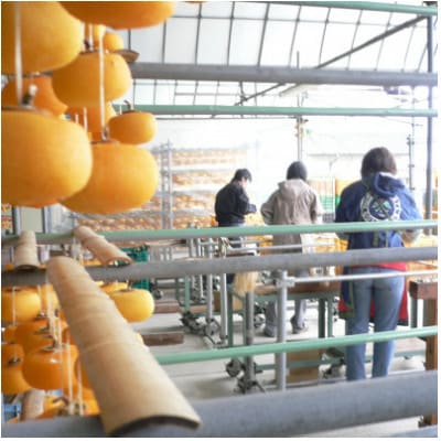 【冷凍】先代から受け継ぐヤマシタの『あんぽ柿』1kg詰【配送不可地域：離島】【1705278】