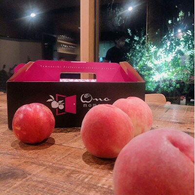 【ゴールデン番組出演実績】メディアで話題沸騰となった『樹上完熟ブランド桃』2026年7月上旬より発送【配送不可地域：離島・北海道・沖縄県・中国・四国・九州】【1459992】