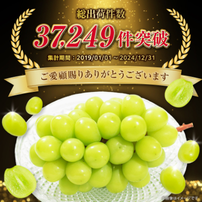 2026年度先行予約 フルーツ王国山梨産厳選 シャインマスカット   2房 (1kg以上)【配送不可地域：離島】【1108669】