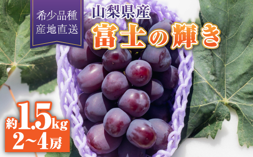 【2026年発送】富士の輝き1房約1.5kg(2〜4房)【配送不可地域：離島】【1613571】