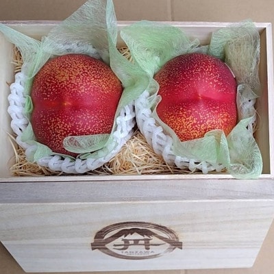 【お中元に贈る方続出】邪気を払う神聖な果物比類なき絶対糖度シャトーネクタリン2026年7月上旬発送【配送不可地域：離島・北海道・沖縄県・中国・四国・九州】【1468765】