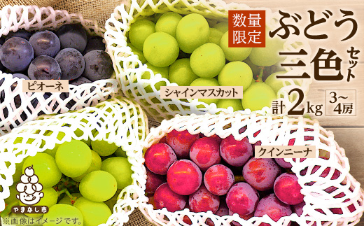 【2026年先行】数量限定ぶどう三色セット(クインニーナ、シャインマスカット、ピオーネ)2kg【配送不可地域：離島】【1670538】