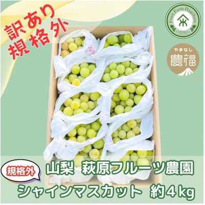 【2026年先行予約】山梨・萩原フルーツ農園の訳ありシャインマスカット(規格外 約4kg)【配送不可地域：離島】【1544642】