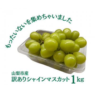 【2026年先行受付】訳あり 粒 シャインマスカット 約1kg【配送不可地域：離島・沖縄県】【1419892】