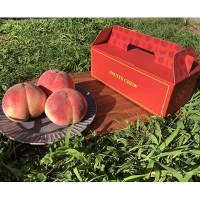 【桜色に輝く高糖度 さくら白桃】本場山梨の品種指定キャンペーンお試し約1kg　8月中旬より順次発送【配送不可地域：離島・北海道・沖縄県・中国・四国・九州】【1704737】