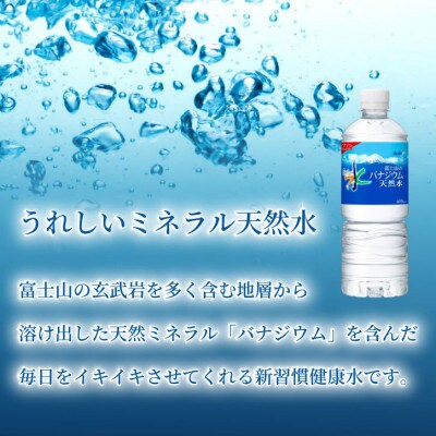 【毎月定期便】バナジウム天然水600ml【24本入】アサヒ飲料全2回　防災【4060647】
