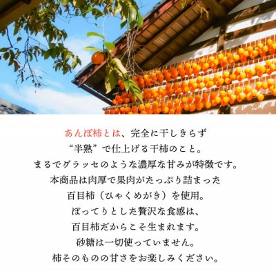 【2026年11月より発送】特選 山梨産 あんぽ柿 「蜜まる」 4個入【1717574】