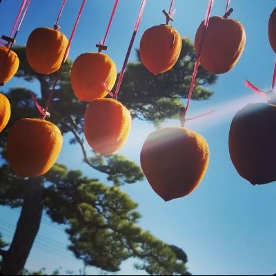 【甲州銘菓数量限定】手作り甲州百目枯露柿12〜20個1号化粧箱入り【配送不可地域：離島】【1178156】