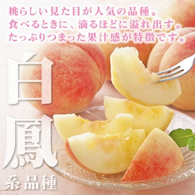 2026年先行受付　山梨県産 桃 白鳳系 2kg以上(5〜8玉) フルーツ王国・山梨から産地直送【配送不可地域：離島・沖縄県】【1137260】
