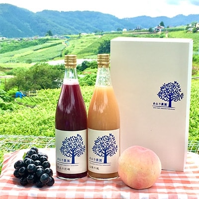 ぶどうジュース 桃ジュース 各720ml 計2本 山梨県産【牧丘の巨峰】&【山梨の桃】ジュースセット【1124235】