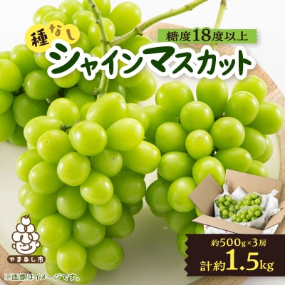 ã2026幎å
è¡åä»ã山梚åžç£ãã·ã£ã€ã³ãã¹ã«ãã(çš®ãªã)ã çŽ1.5kg (çŽ500gÃ3æ¿)ãé
éäžå¯å°åïŒé¢å³¶ã»æ²çžçãã1117303ã