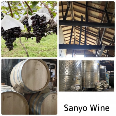 äžé€éžé ãã©ãŠã§ã¢2024 750mlÃ1æ¬ãé
éäžå¯å°åïŒé¢å³¶ãã1704440ã