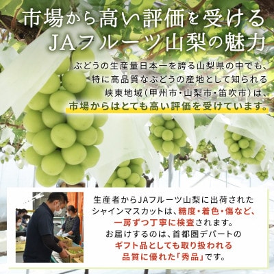 シャインマスカット(2房)【配送不可地域：離島】【1300088】