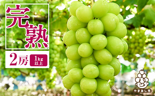 【2026年先行受付】完熟 シャインマスカット 2房 (1kg以上) 世界農業遺産認定地特産【配送不可地域：離島】【1117448】