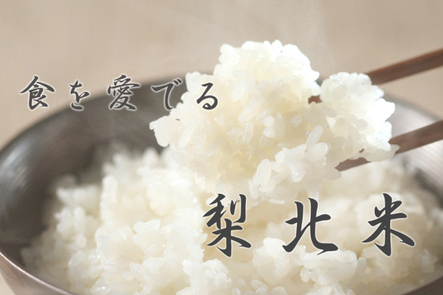 【定期便】【12回 米 定期便 】 武川米 コシヒカリ 5kg×12回 総計60kg [梨北農業協同組合 山梨県 韮崎市 20743673] こしひかり お米 おこめ こめ コメ 精米 60キロ ご飯 ごはん 白米 国産 JA梨北