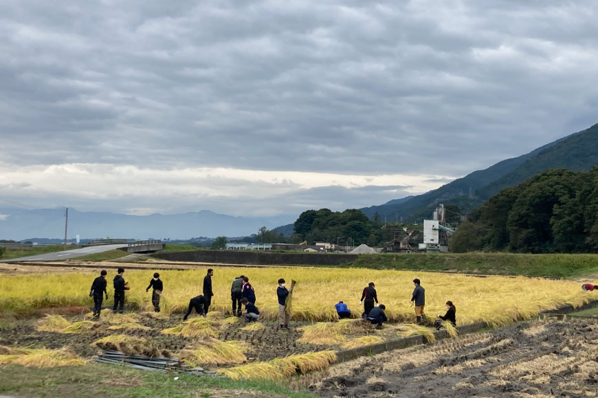 米 武川米 コシヒカリ 5kg [梨北農業協同組合 山梨県 韮崎市 20743510] こしひかり お米 おこめ こめ コメ 精米 5キロ ご飯 ごはん 白米 国産 JA梨北