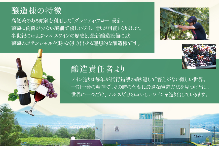 ワイン 収穫体験＆ワインセット 3本×2名 計6本 ペア 2名様 参加券 ワイナリー [本坊酒造マルス穂坂ワイナリー 山梨県 韮崎市 20745174]
