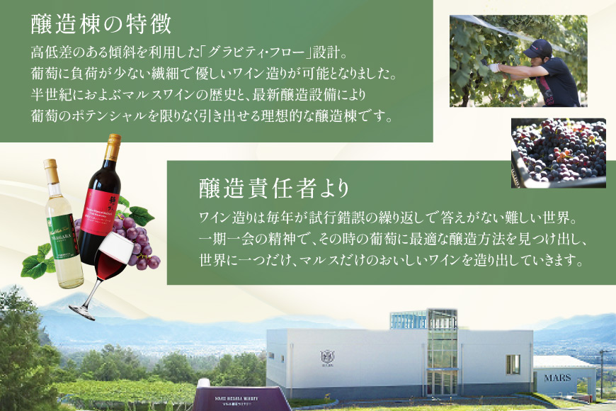 ワイン 赤 白 おまかせ マルスワイン2本セット ～春の陣～ [本坊酒造 マルス穂坂ワイナリー 山梨県 韮崎市 20743117] 赤ワイン 白ワイン 辛口 春のワイン シャトーマルス