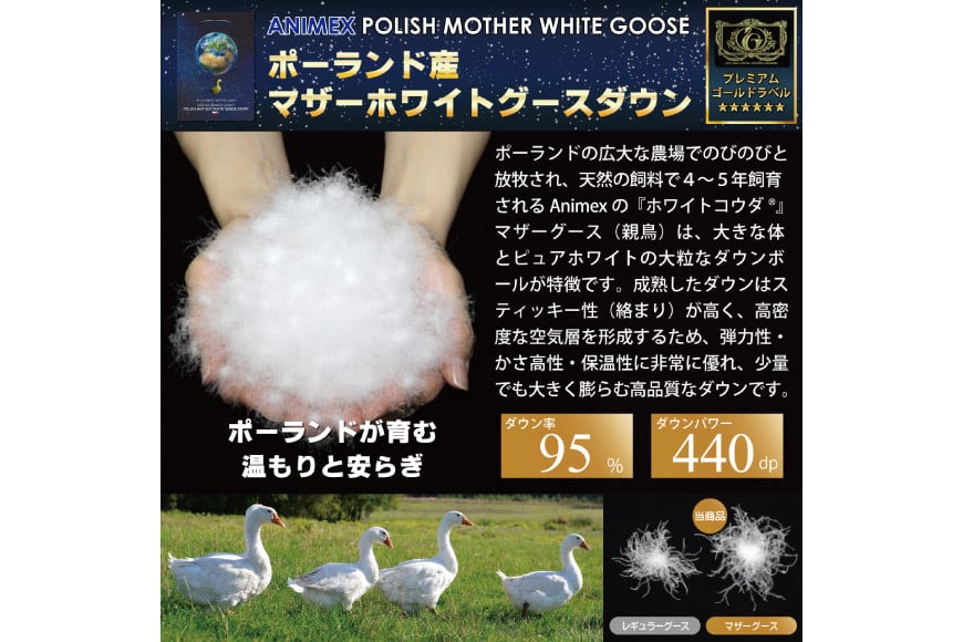 【春秋用】羽毛布団 中厚 合掛け シングル マザーグースダウン 95％ ポーランド産 0.7kg 100×140番手 サテン グランミュゼ (無地 アイボリー) [川村羽毛 山梨県 韮崎市 20743645] 布団