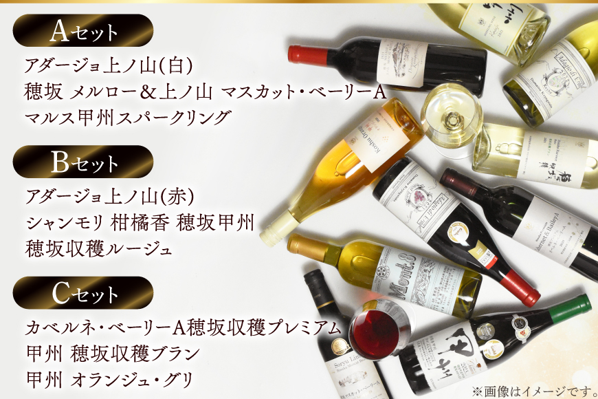 【3回定期便】NS-0012 韮崎ワイナリー赤白ワイン 750ml 3本 3ヶ月 計9本 [韮崎翠緑 山梨県 韮崎市 20745304] ワイン 山梨 ワインセット お酒 酒 飲み比べ 飲み比べセット 詰め合わせ 赤 白 定期便