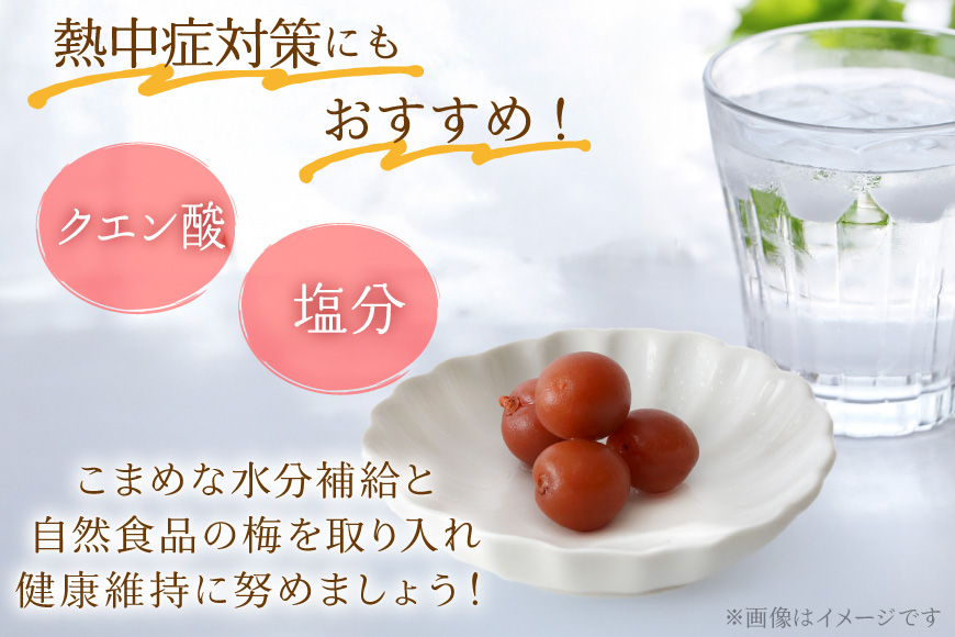 【カリカリ】甲州小梅 300g [山梨農産食品 山梨県 韮崎市 20743178] 梅干し 梅干 うめぼし 梅 小粒 小梅 カリカリ梅 国産