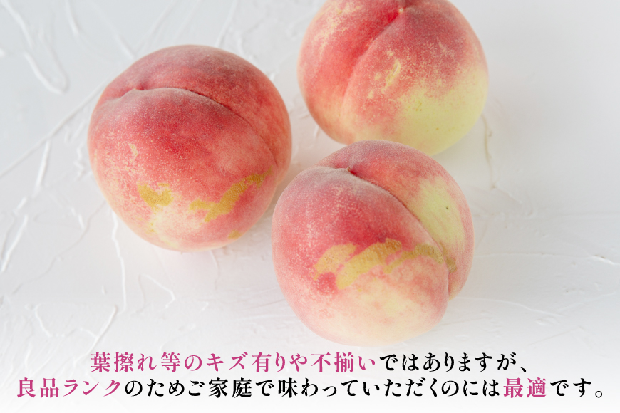 【2026年発送】桃 山梨 秀品 朝どれ 大玉 約 2.0kg 4～6玉 朝獲れ もぎたて もも モモ フルーツ 果物 山梨県産 産地直送 期間限定 季節限定 冷蔵 農家直送 白鳳 夢みずき 浅間白桃 なつっこ 紅くにか 川中島白桃 [韮崎市桃農家の産直 山梨県 韮崎市 20745235]