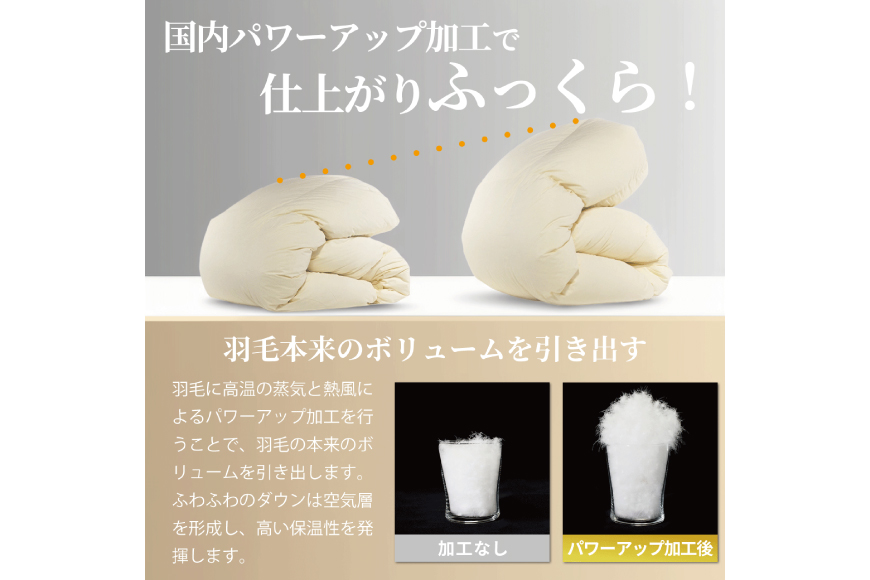 羽毛布団 本掛け ホワイトグースダウン93％ セミダブル 冬用 1.5kg 80番手サテン 綿100％ ゴールド ポーランド産 布団 ふとん 羽毛 羽毛掛け布団 寝具 ロイヤルゴールド 400dp 収納袋付 日本製 国産 増量 [川村羽毛 山梨県 韮崎市 20745140]