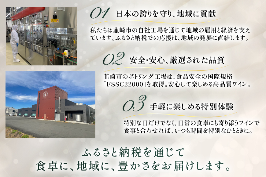 ワイン 白 ブリサ・アンディーナ ソーヴィニヨンブラン 500ml 12本 セット [カサ・ピノ・ジャパン 山梨県 韮崎市 20745345] ワインセット 山梨 酒 お酒 白ワイン アルコール ぶどう 果実酒