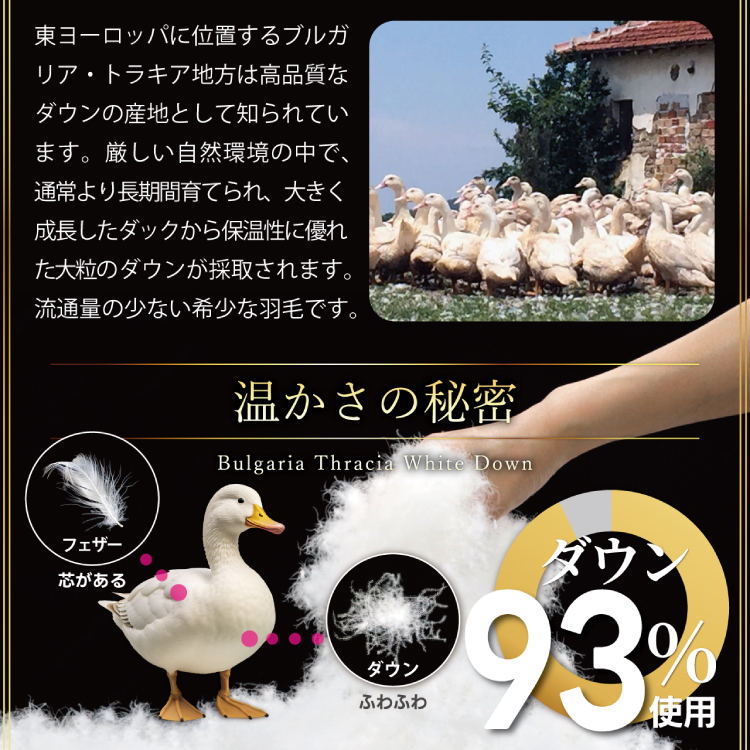 【春夏用】洗える！ 羽毛 肌掛け布団 シングル ホワイトダック 93% ブラウン ダウンケット [川村羽毛 山梨県 韮崎市 20743749] 羽毛布団 布団 ふとん 羽毛 肌掛け 掛け布団 寝具 日本製 国産 抗菌防臭 無地 コインランドリー
